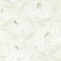 Sebal blomma tapet på en beige bakgrund med vita blommor