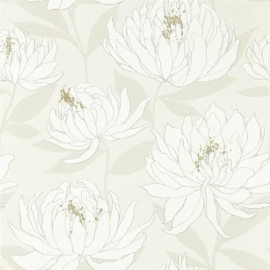 Sebal blomma tapet på en beige bakgrund med vita blommor kuva