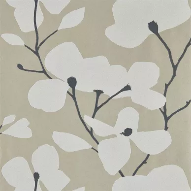 Kienze shimmer blom tapet med beige bakgrund och vita blommor kuva