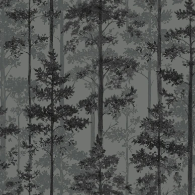 Pine trä tapet i mörka bakgrund image