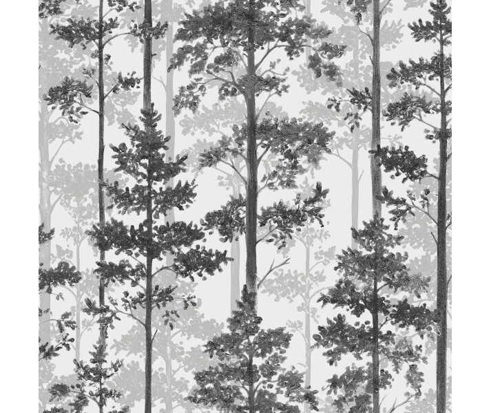 Pine träd tapeter på vit bakgrund med svart trä. image