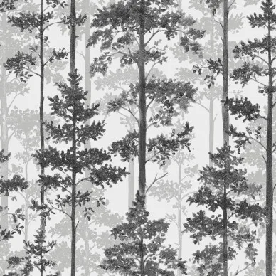 Pine träd tapeter på vit bakgrund med svart trä. kuva