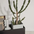 Ferm Living Plant Box Pot kruka i ljusgrå