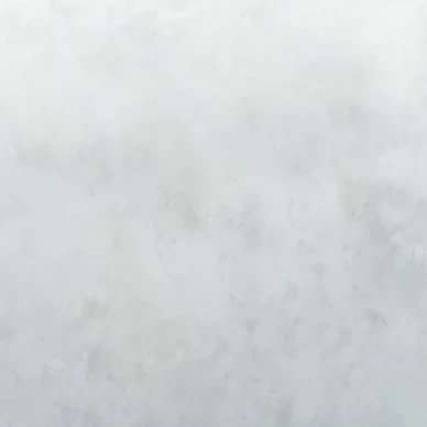 Designers Guild Tourangelle Scene gråa tapeter kuva