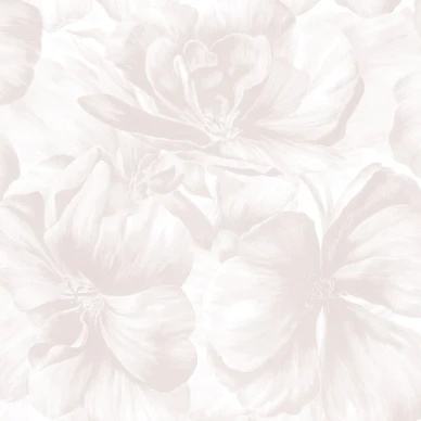 Rosa Äppleblommor på vit bakgrund är en romantisk tapet image