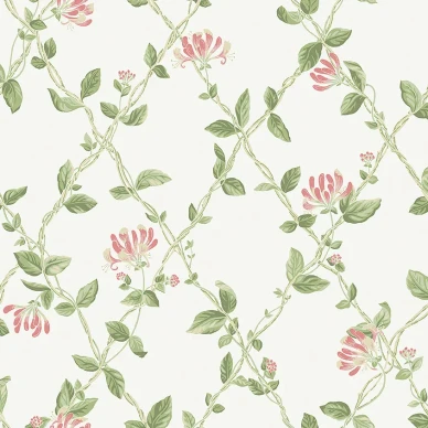 blommig tapet Honeysuckle på en vita bakgrund och rosa blommor image