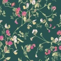 Cole & Son Sweet Pea tapet