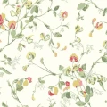 Cole & Son Sweet Pea tapet