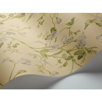 Keltainen kukkatapetti Cole et Sonilta Sweet Pea 100 6029 image