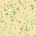 Sweet Pea keltainen kukkatapetti Cole et Sonilta 100 6029
