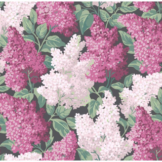 Cole & Son Lilac tapet kuva