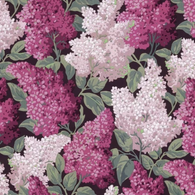 Cole & Son Lilac Grandiflora tapet kuva