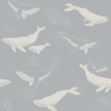6942 Whales Closeup kuva