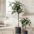 Ferm Living Bau Pot Large - kruka