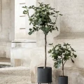 Ferm Living Bau Pot Small kruka