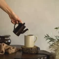 Anacardio ekologinen kalkkimaali Kalklitirilta kuva dicasdaoksi