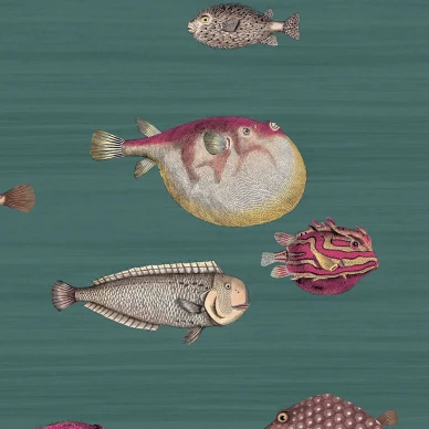 Acquario vihrea kalatapetti Cole et Sonilta 114 12024 image