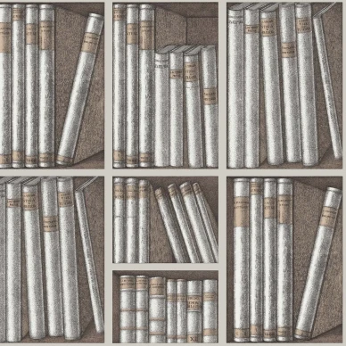 Cole & Son Ex Libris tapet Stone and Linen kuva