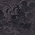 Cole & Son Nuvolette tapet Midnight