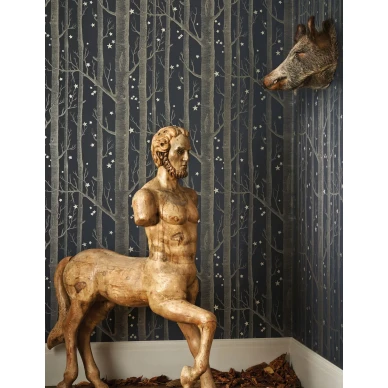 Cole & Son Woods & Stars trädtapet svart-silver kuva