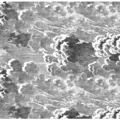 Cole & Son Nuvole tapet image