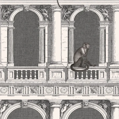 Cole & Son Procuratie e Scimmie tapet kuva