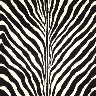 Bartlett Zebra Charcoal seepra raidallinen tapetti Ralph Laurenilta kuva