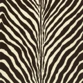 Bartlett Zebra Chocolate seepra raidallinen tapetti Ralph Laurenilta