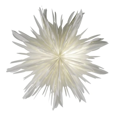 Reykjavik trendikas valkoinen joulutahti Watt Vekelta image