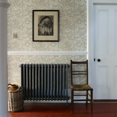 Vaalea lehtitapetti Bachelors Button Morrikselta image