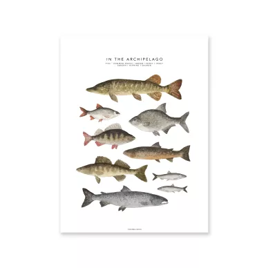 In the Archipelago kalajuliste Fashionell kuva