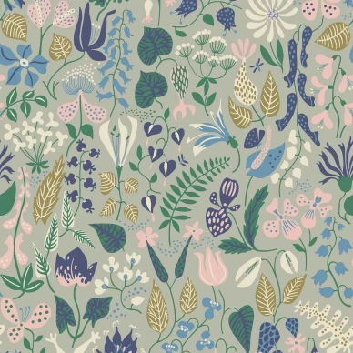 1370 StigLindberg Herbarium Closeup kuva