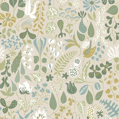 1371 StigLindberg Herbarium Closeup kuva