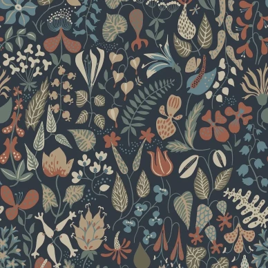 1372 StigLindberg Herbarium Closeup kuva