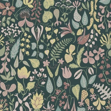 1976 Herbarium Closeup image