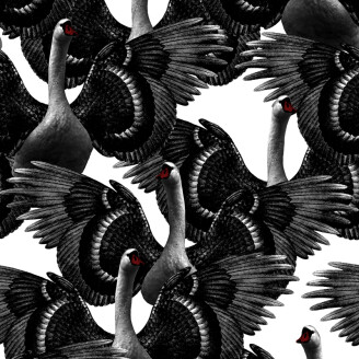 Swan Lake mustavalkoinen joutsentapetti Studio Lisa Bengtsson kuva