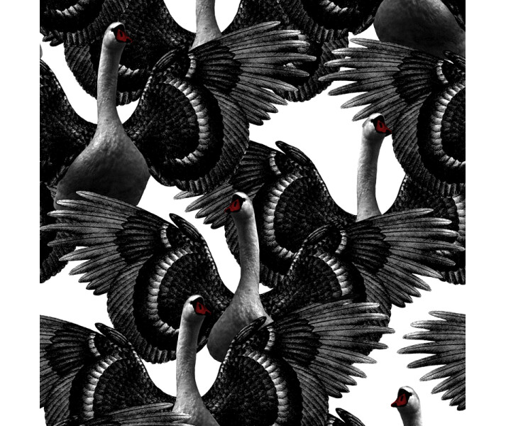 Swan Lake mustavalkoinen joutsentapetti Studio Lisa Bengtsson image