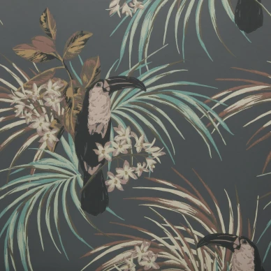 Le Toucan musta ja monivarinen lintutapetti 1838 Wallcoverings kuva