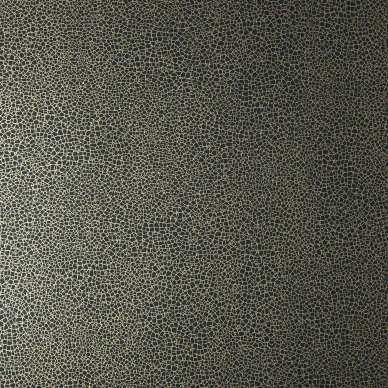 Emile musta pienikuvioitu tapetti 1838 Wallcoverings kuva