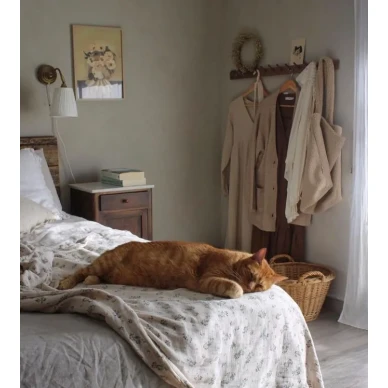 Sabbia Secco kalkkimaali Kalklitirilta kuva miamonite image