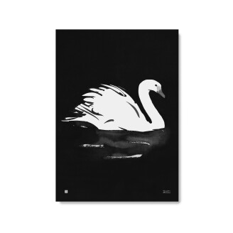 Swan Joutsen kaunis mustavalkoinen lintujuliste Teemu Jarvi Illustrations image