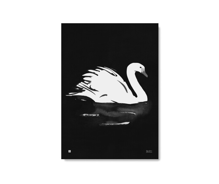 Swan Joutsen kaunis mustavalkoinen lintujuliste Teemu Jarvi Illustrations kuva