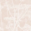 Cow Parsley roosa kasvitapetti Cole et Sonilta