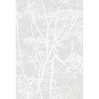 Cow Parsley vaaleakasvitapetti Cole et Sonilta image