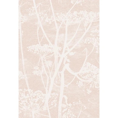 Cow Parsley vaaleanpunainen kasvitapetti Cole et Sonilta image