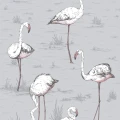 Flamingos hauska harmaa lintutapetti Cole Sonilta