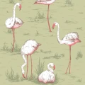Flamingos vihrea lintutapetti Cole Sonilta