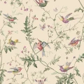 Hummingbirds beige lintutapetti Cole et Sonilta 100 14071