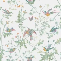 Hummingbirds valkoinen pastellinen lintutapetti Cole et Sonilta 112 4016