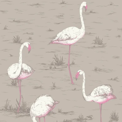 Flamingos ruskea lintutapetti Cole et Sonilta kuva